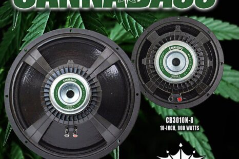 Eminence Speaker Adds 15-Inch Model to CannaBass Line